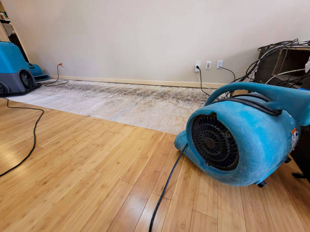 Professional Flood Damage Cleanup technician working in Marlette, MI